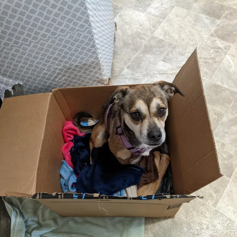 Sally May thumbnail 5