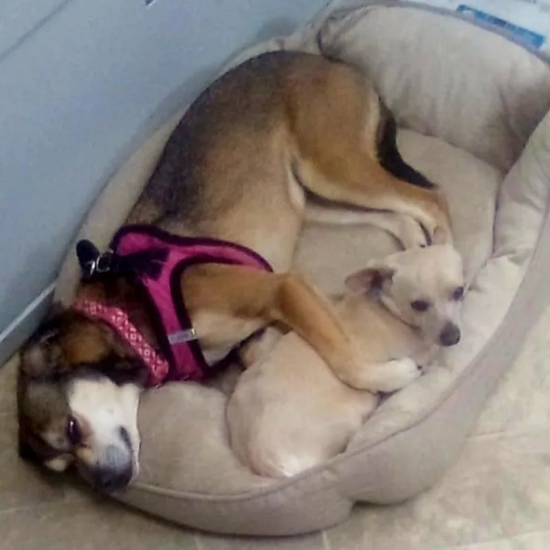 Sally May thumbnail 6