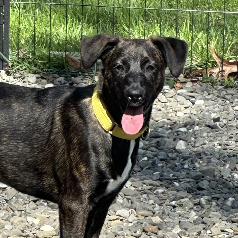 Valentina thumbnail 2