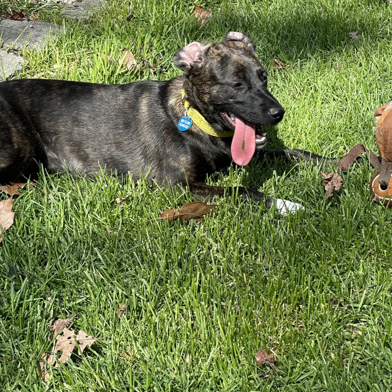 Valentina thumbnail 3