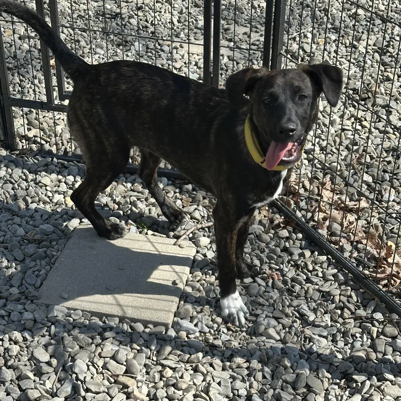 Valentina thumbnail 4