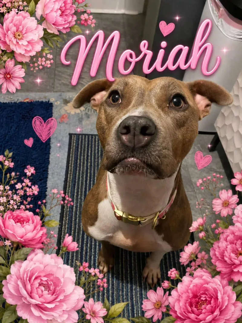 Moriah thumbnail 5