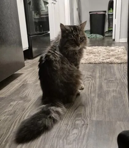 Scotland Fiv+ thumbnail 2