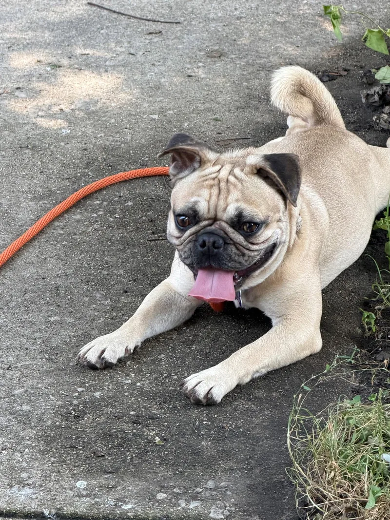 Walter CA thumbnail 2
