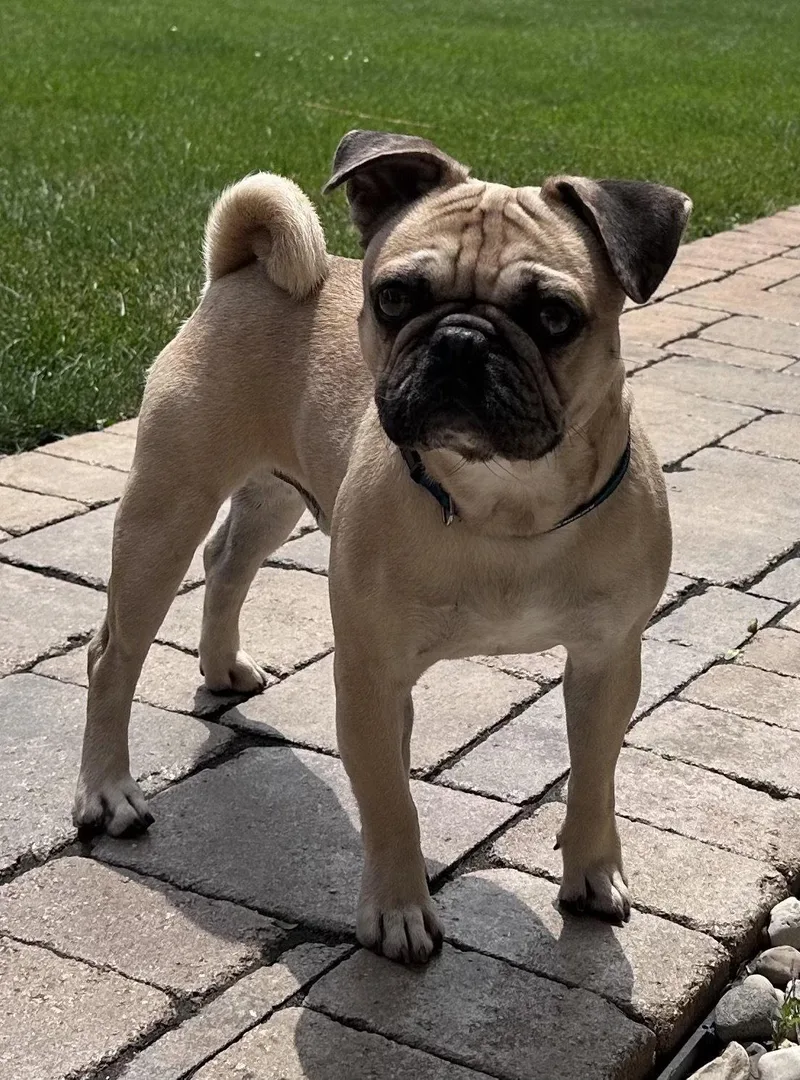 Walter CA thumbnail 3