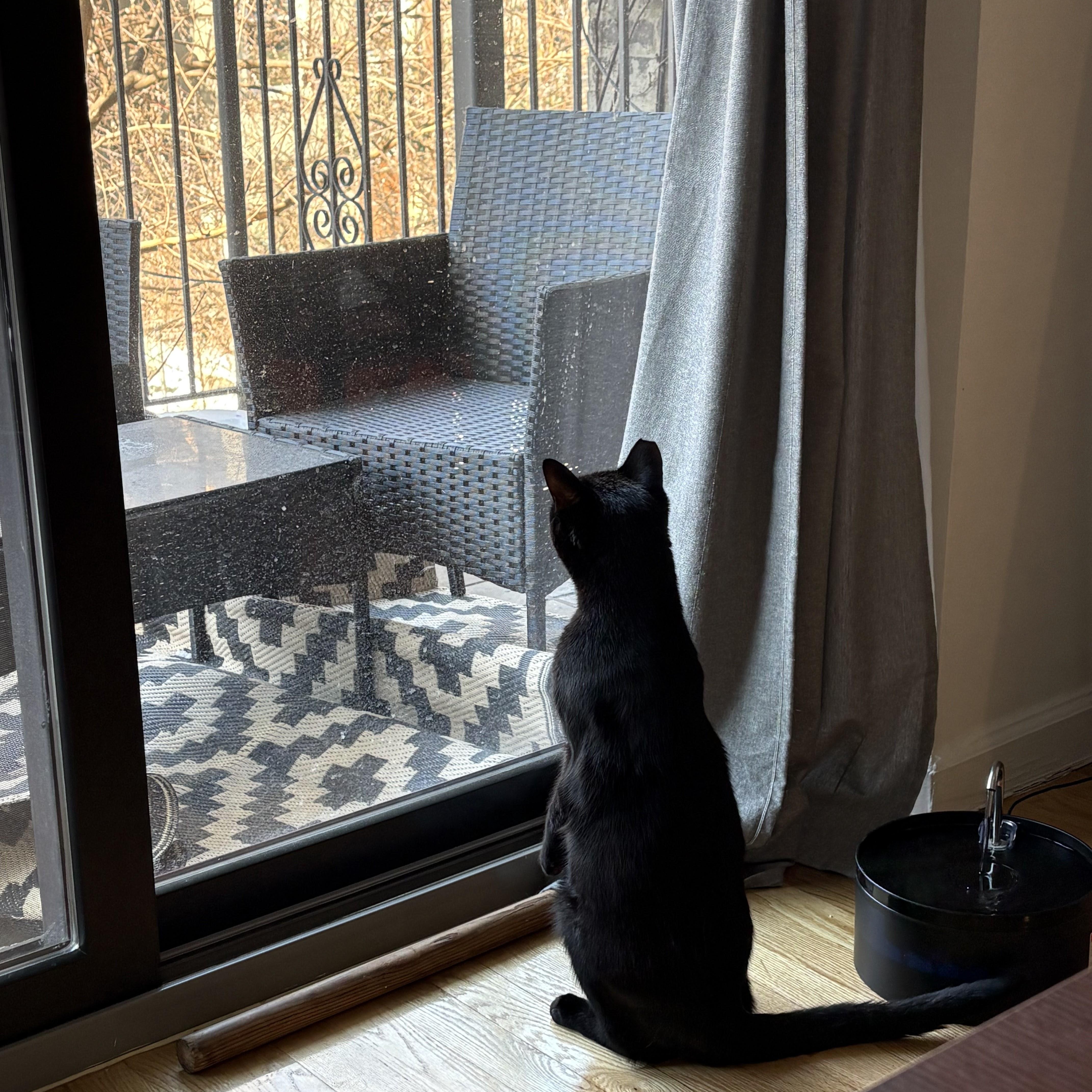 Beano Aka Timothy Cahill thumbnail 2