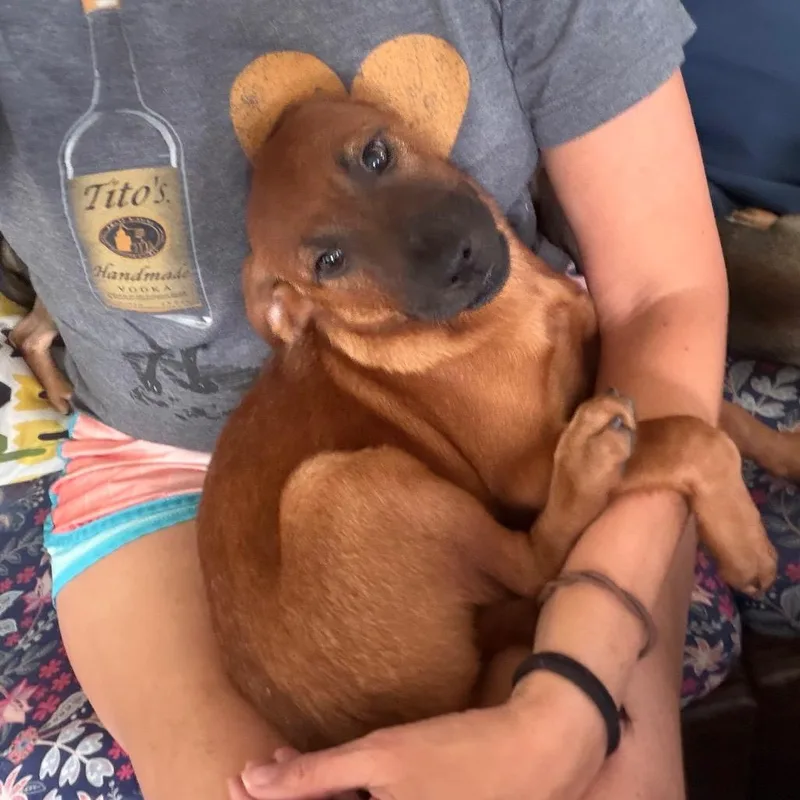 Freddie thumbnail 2