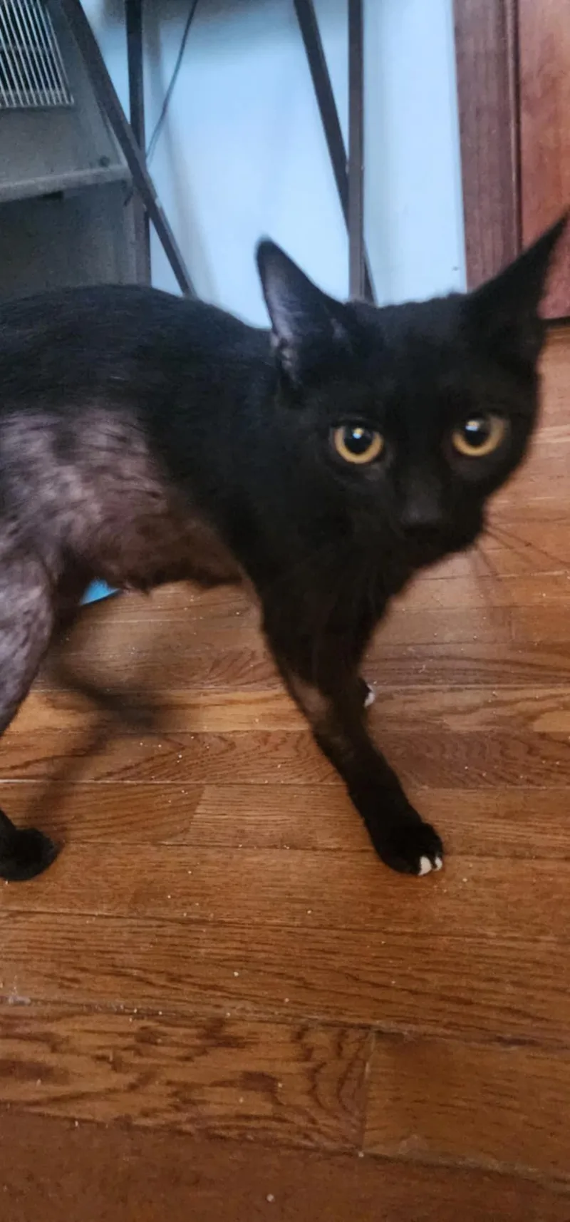 Mama Abby thumbnail 2