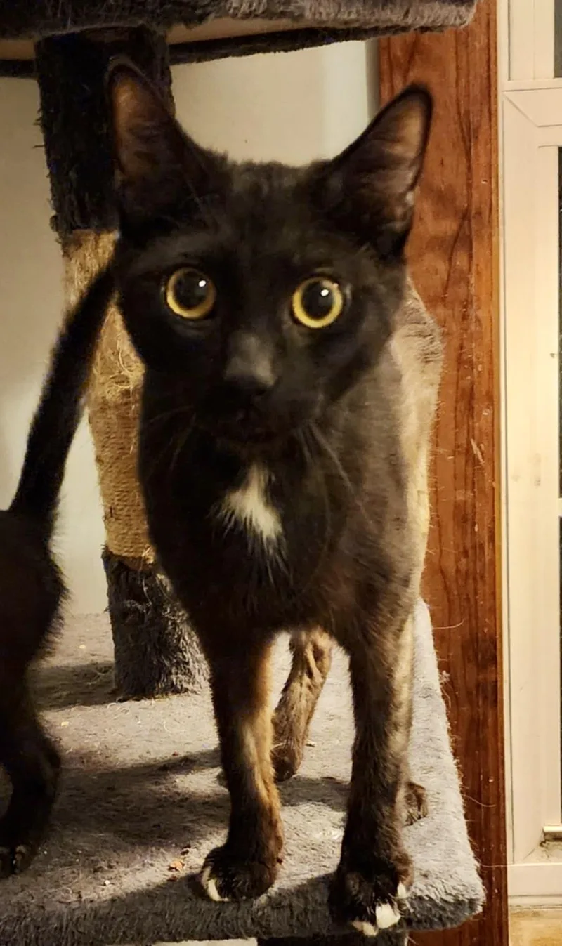 Mama Abby thumbnail 4