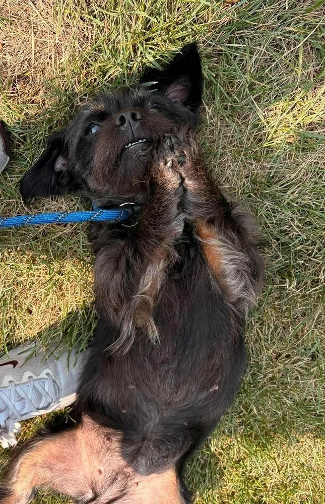 Bailey