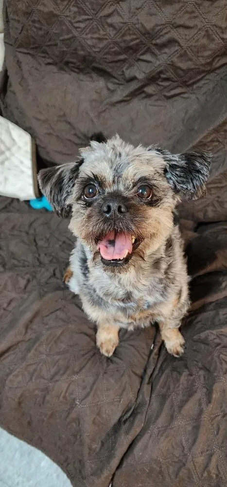 Bailey thumbnail 3