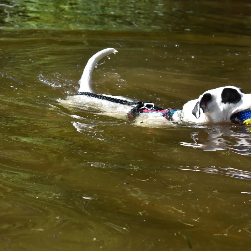 Wendy Come Meet! thumbnail 2