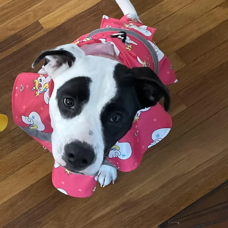 Wendy Come Meet! thumbnail 3