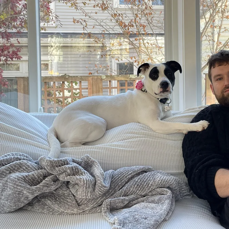 Wendy Come Meet! thumbnail 4