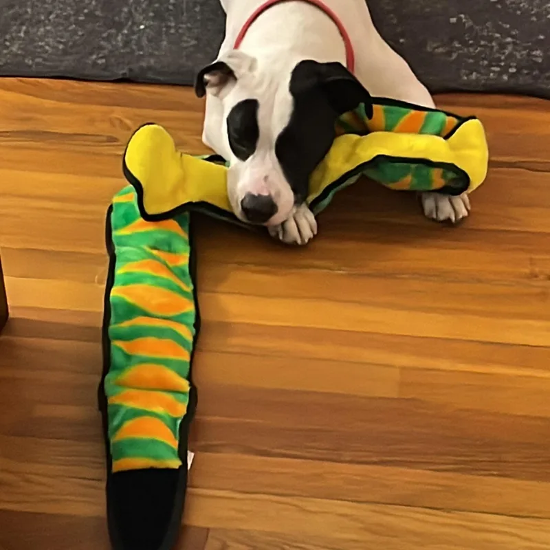 Wendy Come Meet! thumbnail 5