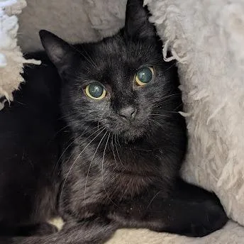 Washington thumbnail 2