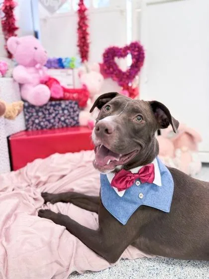 Mackaboon thumbnail 2