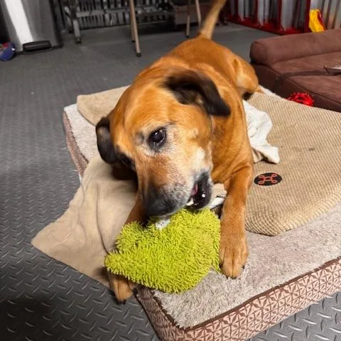 Max West thumbnail 2