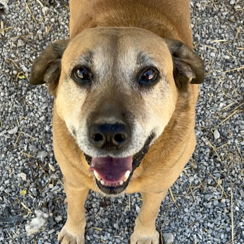 Max West thumbnail 3