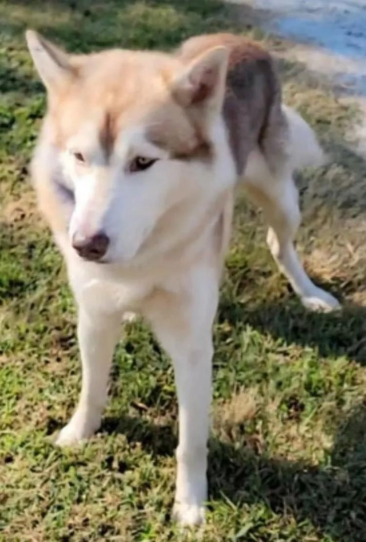 Maverick thumbnail 3