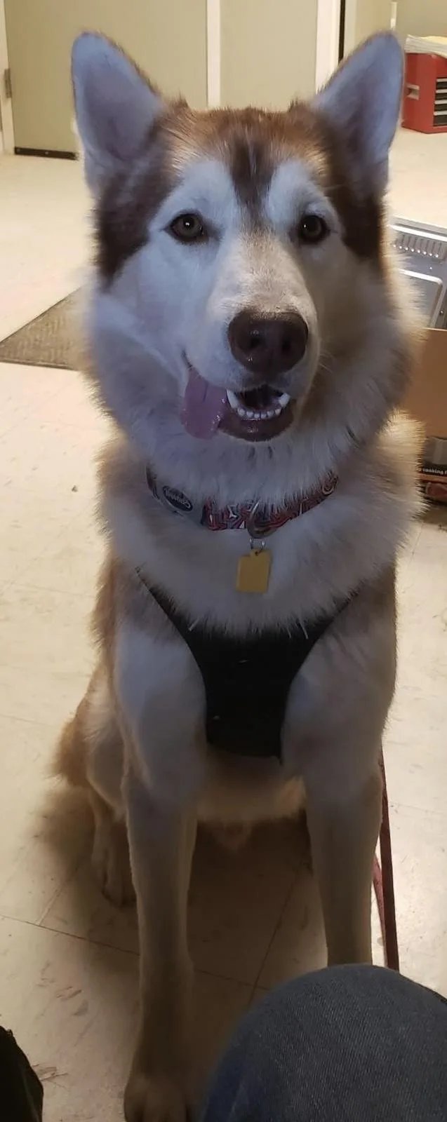 Maverick thumbnail 4