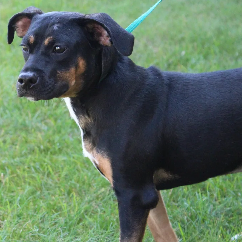 Natalie thumbnail 4
