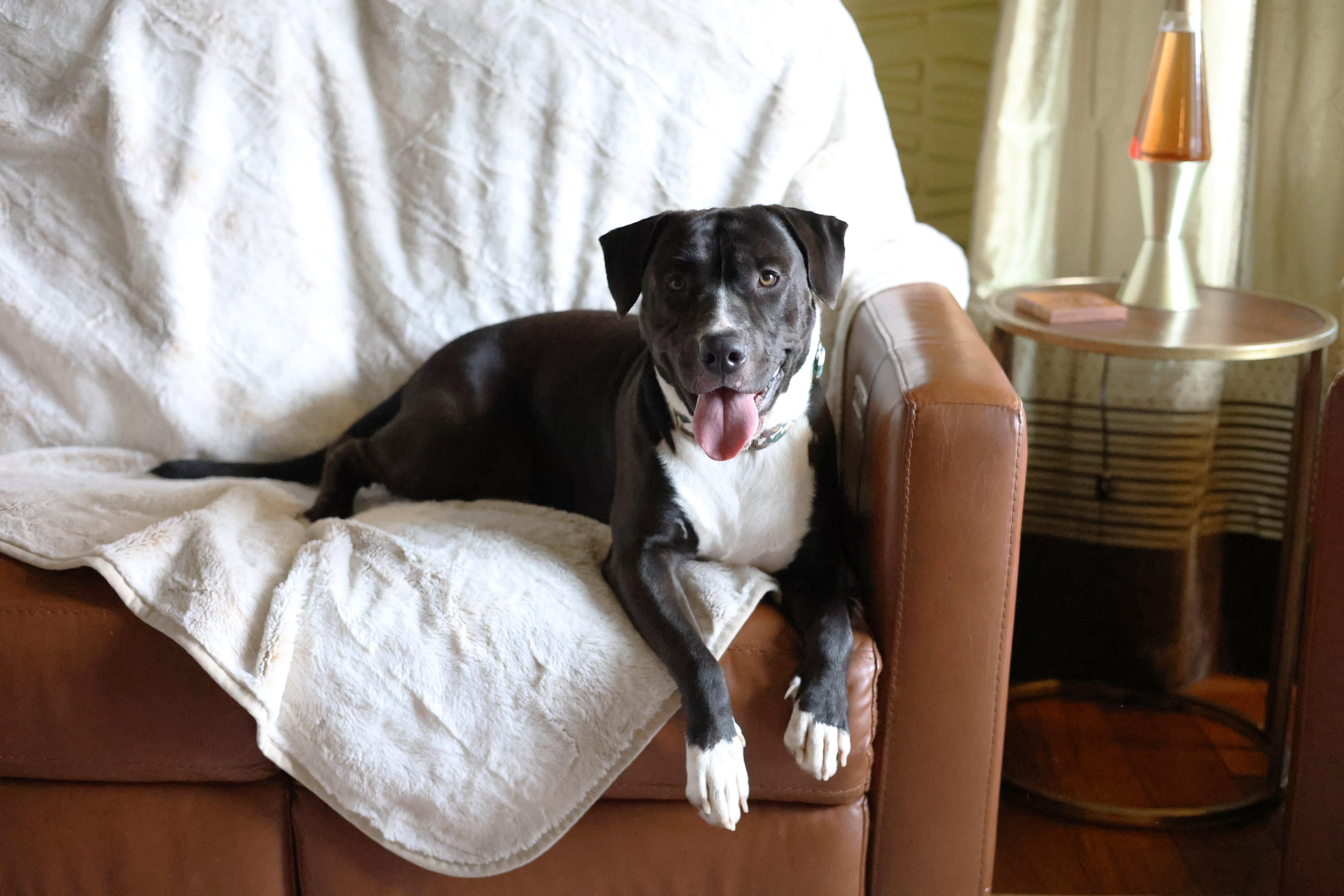 Buster Bar thumbnail 2