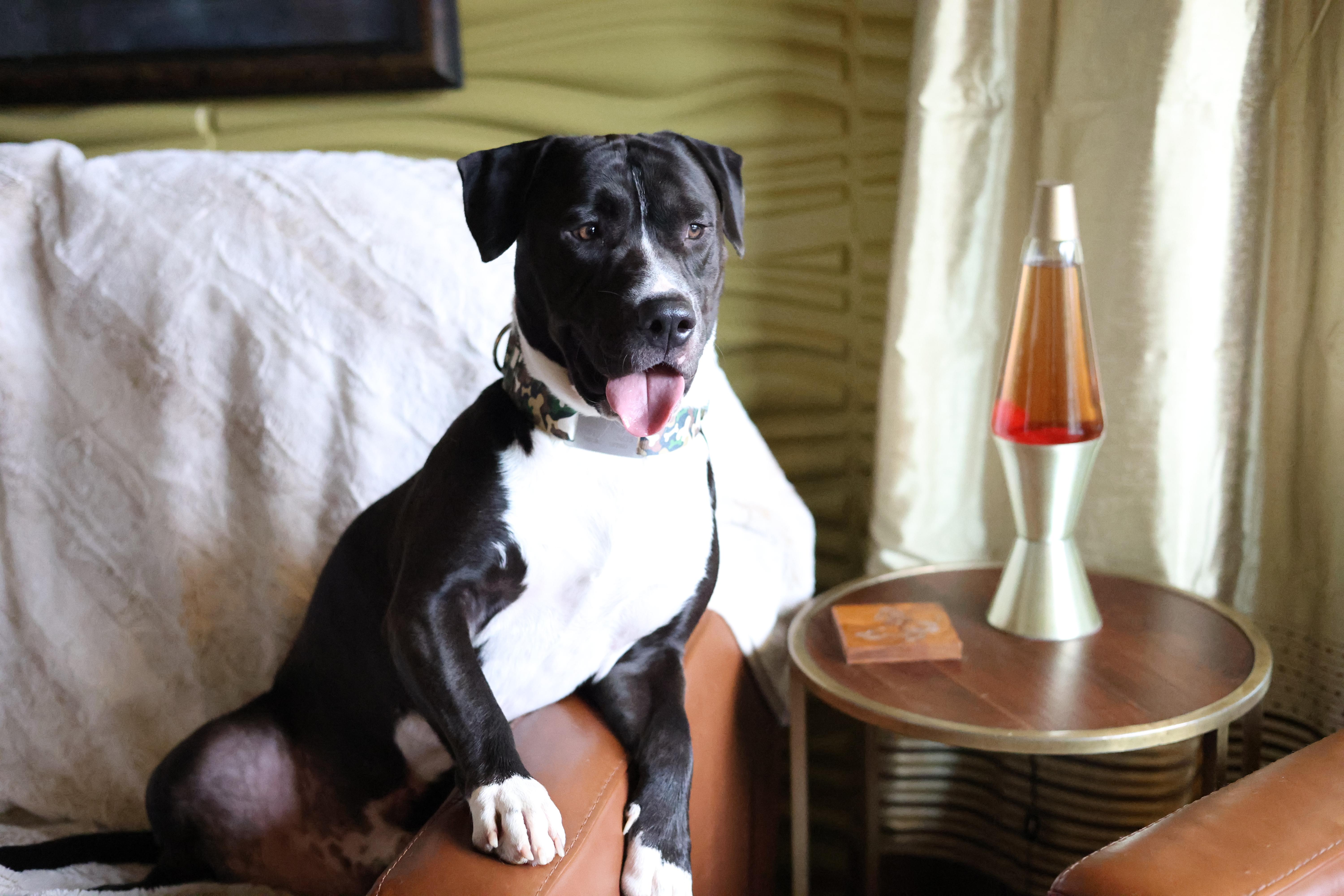 Buster Bar thumbnail 4