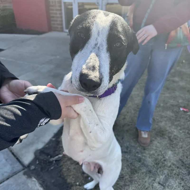 Skinny Minnie thumbnail 2