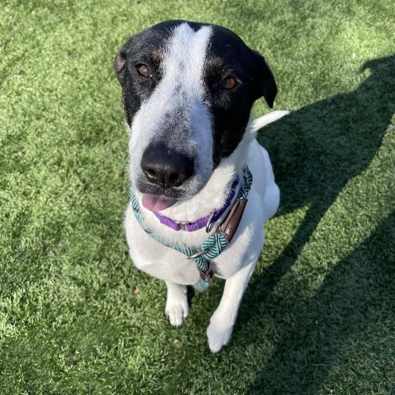 Skinny Minnie thumbnail 3