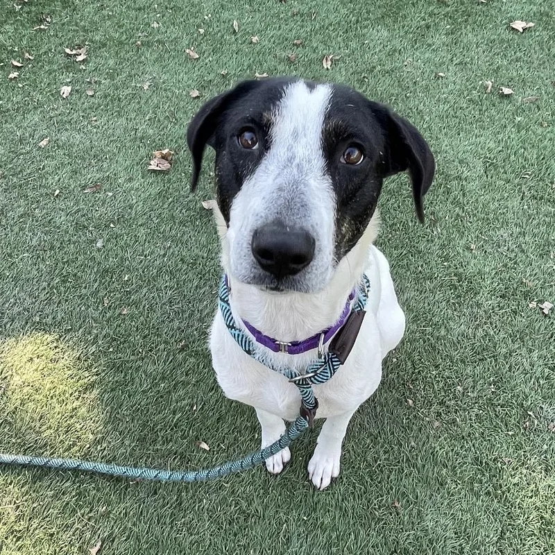 Skinny Minnie thumbnail 6