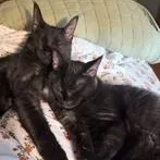 Roman & Siobhan thumbnail 2