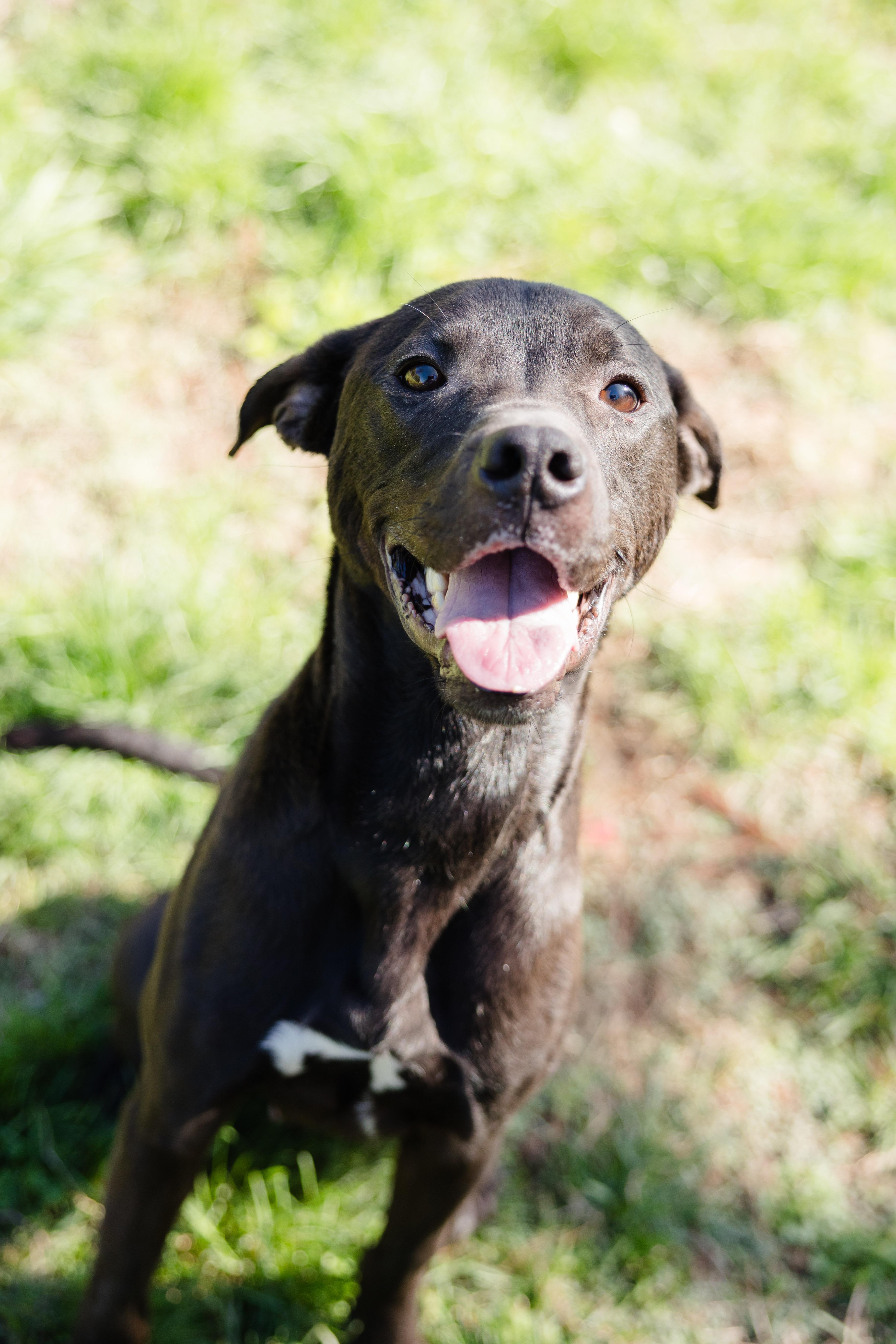 Reese Egg thumbnail 2