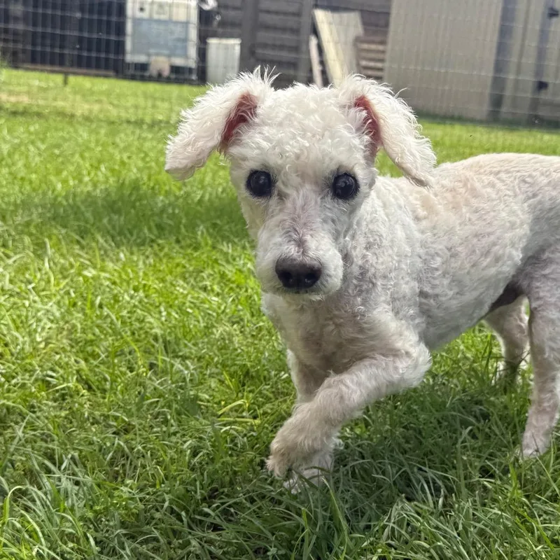 Roman Hayes thumbnail 2