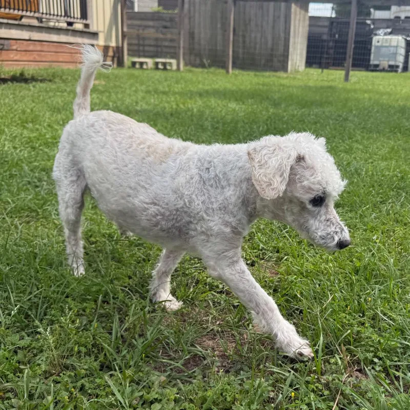 Roman Hayes thumbnail 3