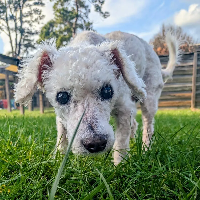 Roman Hayes thumbnail 4