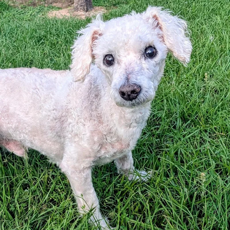 Roman Hayes thumbnail 5