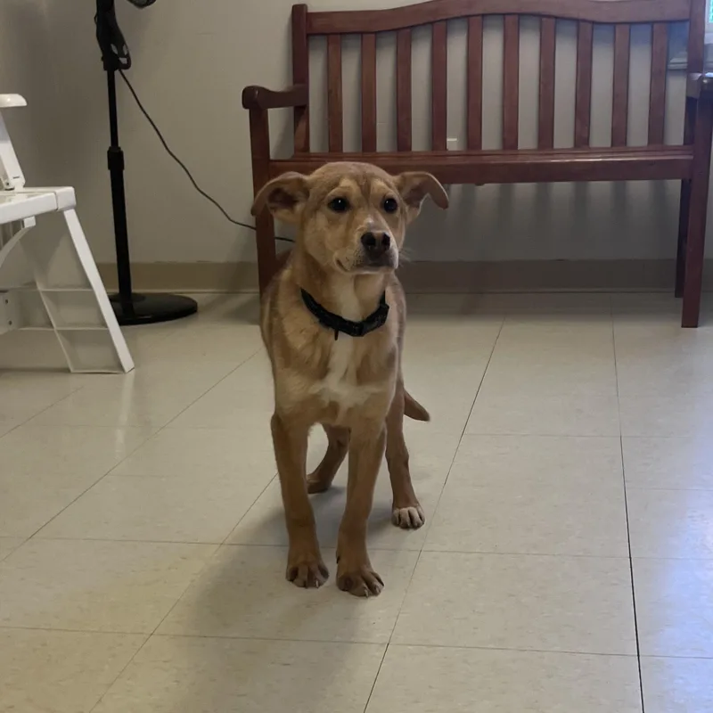 Keegan @ Prison Program thumbnail 2