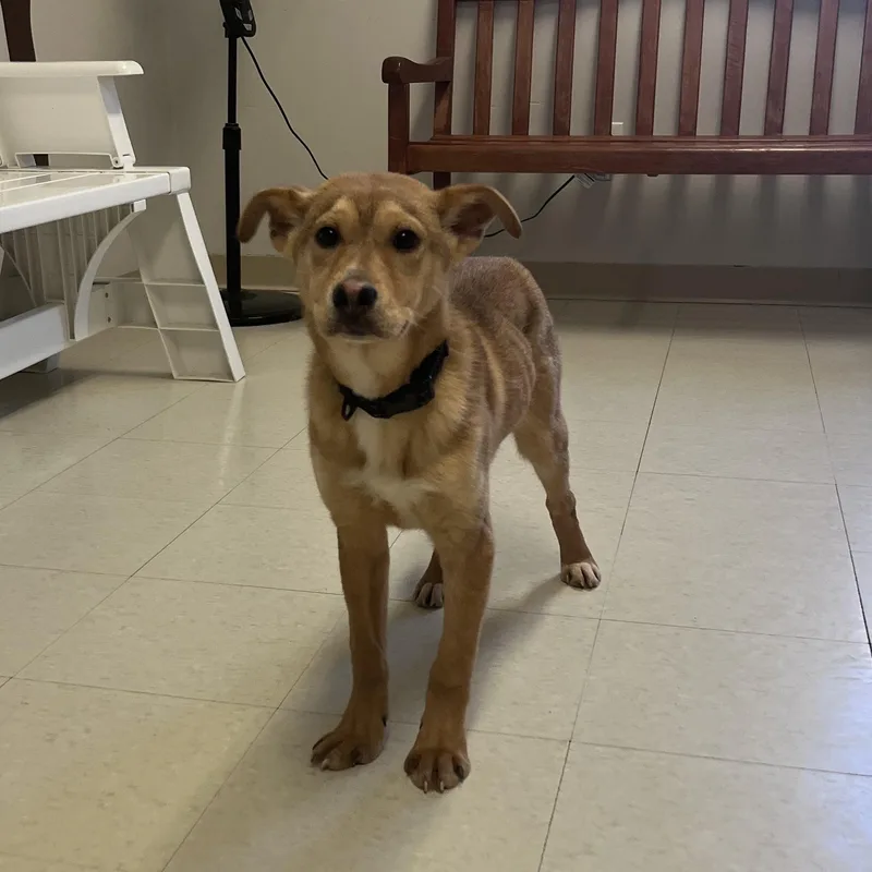 Keegan @ Prison Program