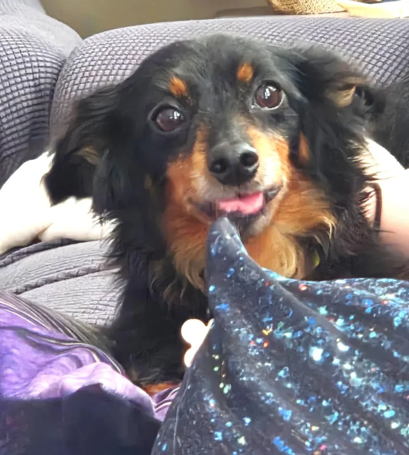 Abby Love thumbnail 2