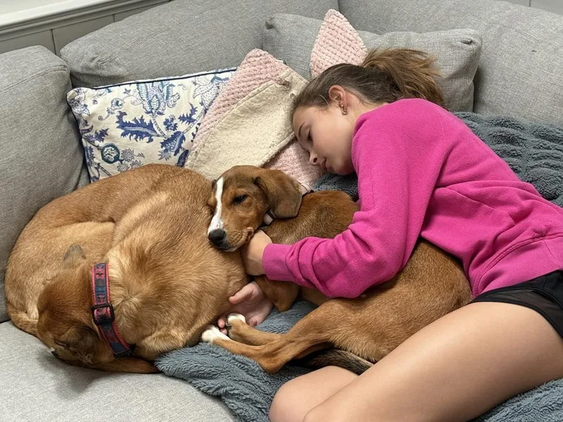 Pup Angel thumbnail 5