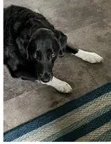 Drake