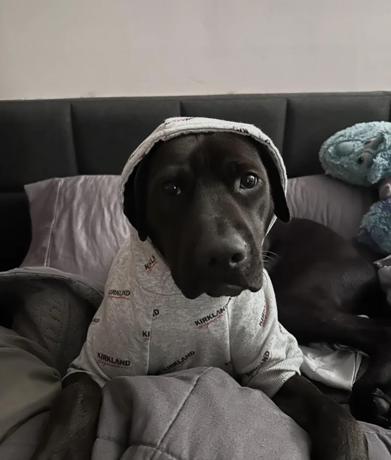 Bubbles thumbnail 5