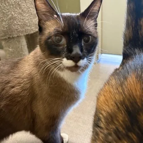 Bonnie & Clyde thumbnail 4