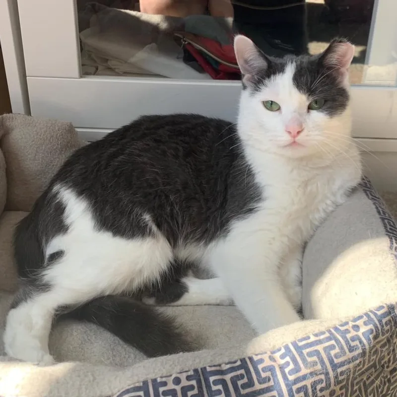 Felicity thumbnail 2