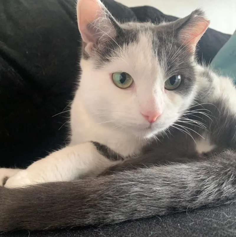 Felicity thumbnail 3