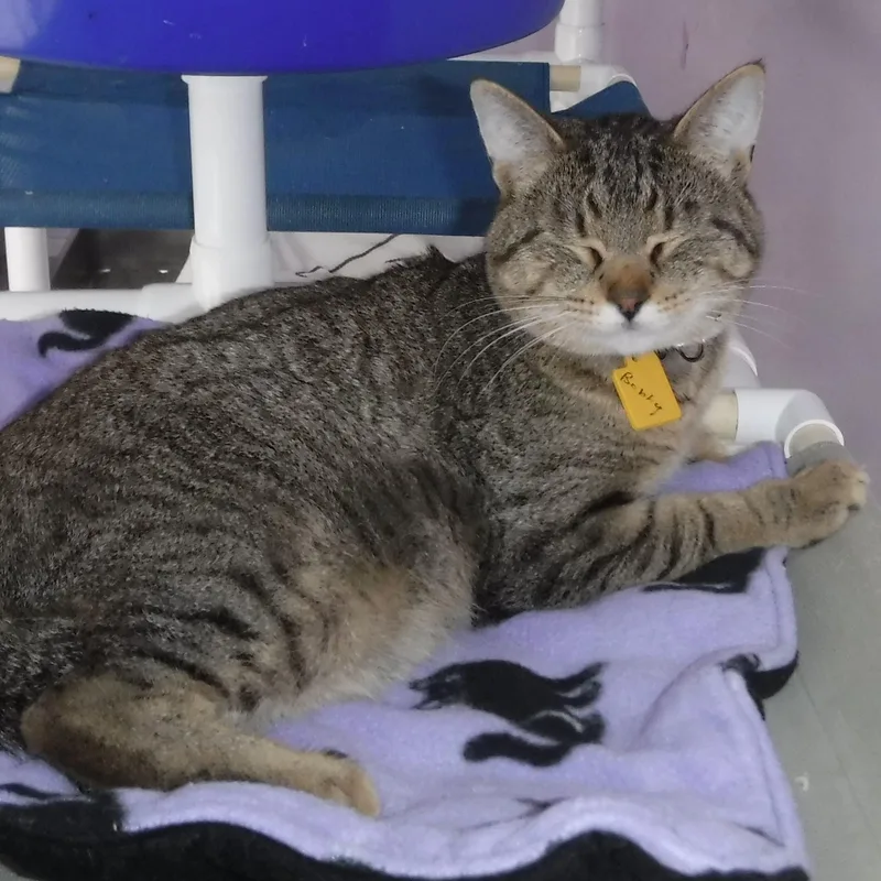 Ben  Friendly And thumbnail 2