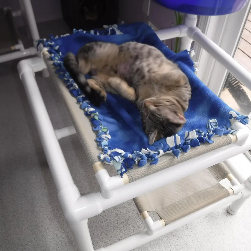 Ben  Friendly And thumbnail 3