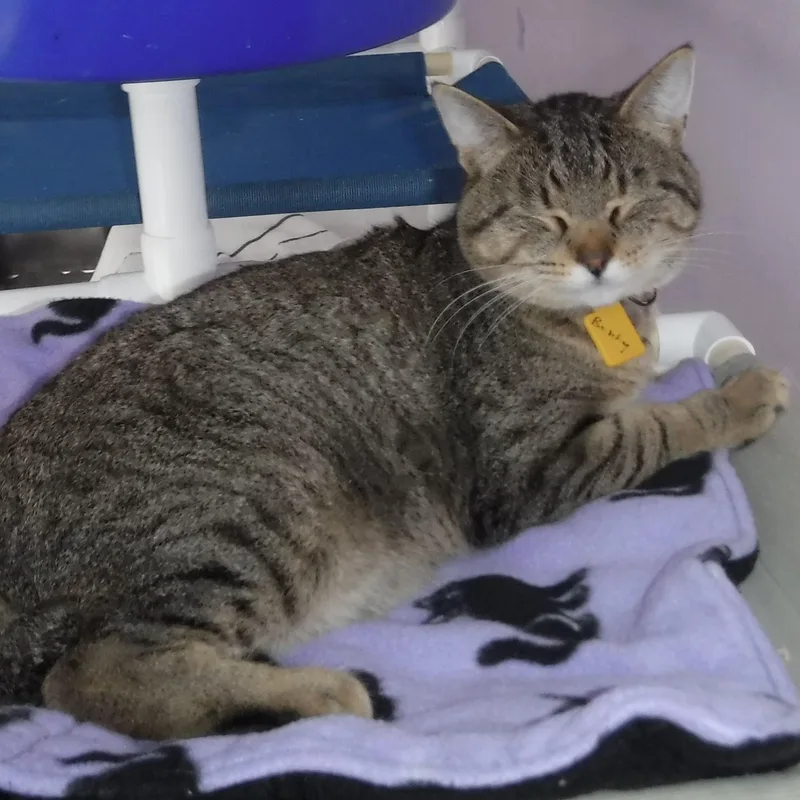 Ben  Friendly And thumbnail 4