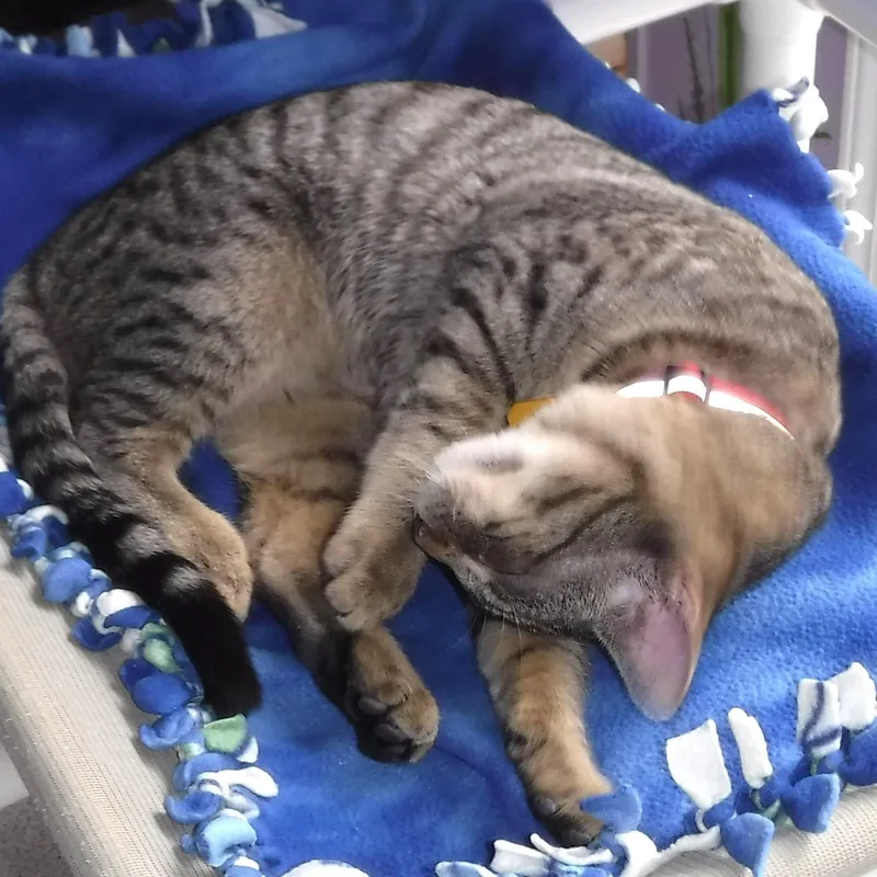 Ben  Friendly And thumbnail 5